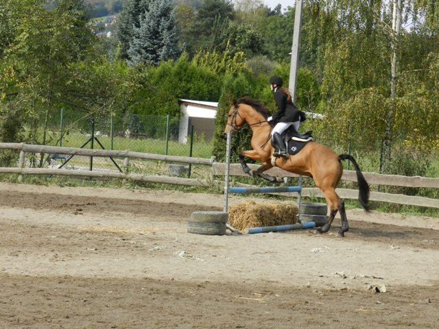 Babie Lato 2016